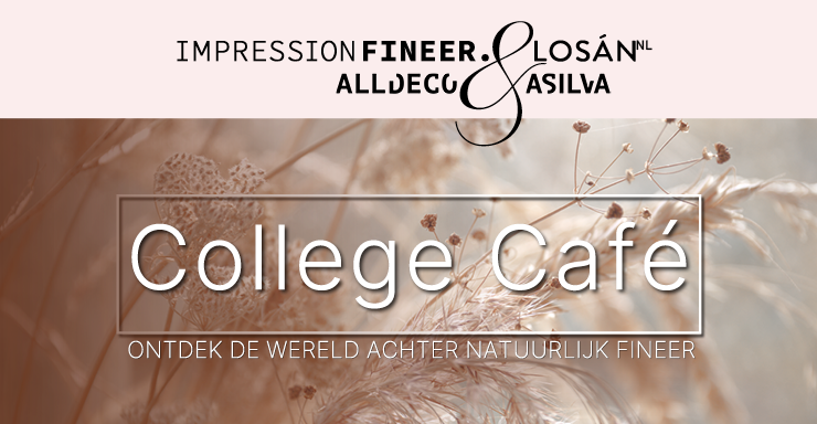 Nieuwsbericht-College_Cafe-740x384px.png